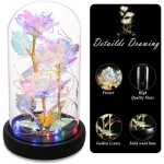 Colorful Gold Foil Rose Beauty and The Beast Rose in Glass Dome with Lights, Infinite Rose Flower Shines Like a Enchanted Glass Rose, Gifts for Her Girlfriend Wife Women