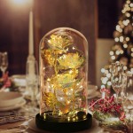 Colorful Gold Foil Rose Beauty and The Beast Rose in Glass Dome with Lights, Infinite Rose Flower Shines Like a Enchanted Glass Rose, Gifts for Her Girlfriend Wife Women