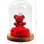 Rose Eternal Rose- Preserved Flower Rose Bear Handmade Fresh Flower Rose in Beautiful Glass Dome Best Gift for Valentine&#39;s Day Mother&#39;s Day Thanksgiving Birthday (red)