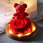 Rose Eternal Rose- Preserved Flower Rose Bear Handmade Fresh Flower Rose in Beautiful Glass Dome Best Gift for Valentine&#39;s Day Mother&#39;s Day Thanksgiving Birthday (red)