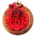 Rose Eternal Rose- Preserved Flower Rose Bear Handmade Fresh Flower Rose in Beautiful Glass Dome Best Gift for Valentine&#39;s Day Mother&#39;s Day Thanksgiving Birthday (red)