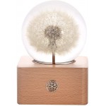 MISS LI GARDEN Forever Flowers 3D Crystal Ball with LED Lights,Best Gifts for Her Wife Girlfriend Women, Anniversary, Mothers Day, Birthday, Valentine&#39;s Day Home Décor