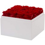 puto Real Rose That Last a Year Eternal Rose in a Box 16 Infinity Rose (Red, White Square Box)