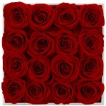 puto Real Rose That Last a Year Eternal Rose in a Box 16 Infinity Rose (Red, White Square Box)