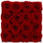 puto Real Rose That Last a Year Eternal Rose in a Box 16 Infinity Rose (Red, White Square Box)