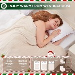 Westinghouse Electric Blanket Queen Size 84&#34;x90&#34; Heated Throw Soft Silky Plush Flannel Heating Blanket, 10 Heat Settings &amp; 12 Hours Auto Off, Machine Washable, Beige