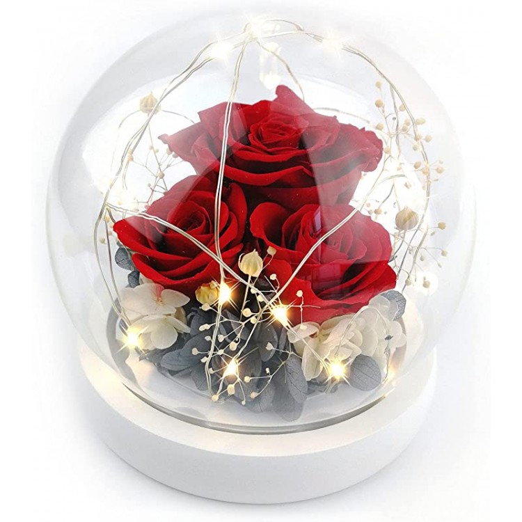 Forever Flowers Preserved Roses Gift for Women Mom Girlfriend Wife - Fresh Real Roses Eternal Flowers Elegant Present for Valentine&#39;s Day Birthday Anniversary Wedding Mother&#39;s Day (Sparkle Red)