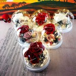 Forever Flowers Preserved Roses Gift for Women Mom Girlfriend Wife - Fresh Real Roses Eternal Flowers Elegant Present for Valentine&#39;s Day Birthday Anniversary Wedding Mother&#39;s Day (Sparkle Red)