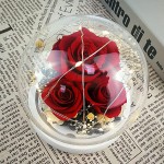 Forever Flowers Preserved Roses Gift for Women Mom Girlfriend Wife - Fresh Real Roses Eternal Flowers Elegant Present for Valentine&#39;s Day Birthday Anniversary Wedding Mother&#39;s Day (Sparkle Red)