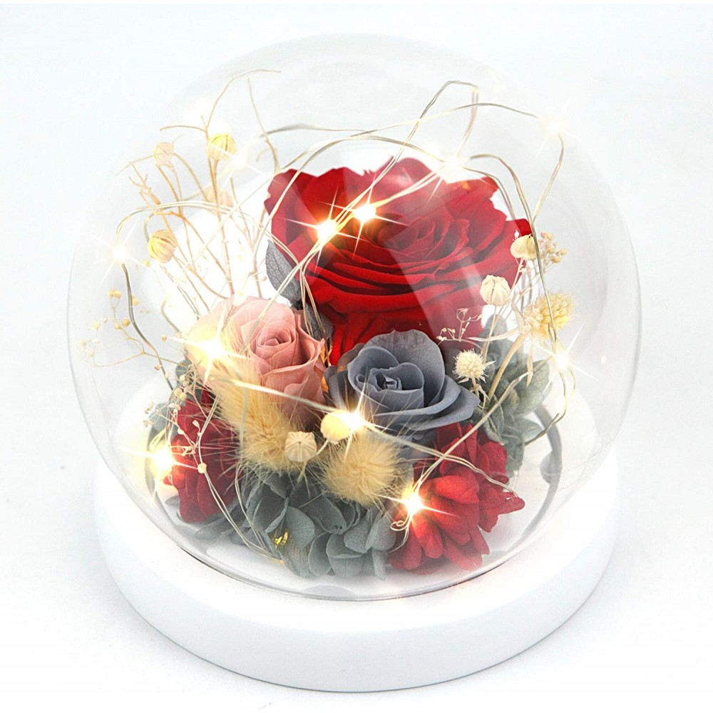 Forever Flowers Preserved Roses Gift for Women Mom Girlfriend Wife - Fresh  Real Roses Eternal Flowers Elegant Present for Valentine's Day Birthday