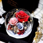 Forever Flowers Preserved Roses Gift for Women Mom Girlfriend Wife - Fresh Real Roses Eternal Flowers with LED Mood Lights Elegant Present for Valentine's Day Birthday Anniversary (Lucky Red)