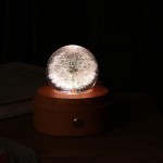 ANLUNOB Crystal Decorative Ball Ornaments Specimen Dandelion with Wooden Base Immortal Flower Night Lights, Mother&#39;s Day Birthday Gifts for Girls Women Mom