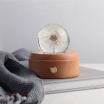 ANLUNOB Crystal Decorative Ball Ornaments Specimen Dandelion with Wooden Base Immortal Flower Night Lights, Mother&#39;s Day Birthday Gifts for Girls Women Mom