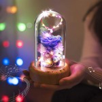 Real Preserved Rose in Glass Dome, DDSKY Enchanted Preserved Rose Eternal Flowers Rose LED Light with Bluetooth Speaker Gift for Christmas Valentine Day Mothers Day Birthday, Blue