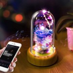 Real Preserved Rose in Glass Dome, DDSKY Enchanted Preserved Rose Eternal Flowers Rose LED Light with Bluetooth Speaker Gift for Christmas Valentine Day Mothers Day Birthday, Blue