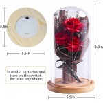 Forever Flowers Eternal Roses in Glass Dome, Upscale Immortal Roses Gift for Women, for her, Glass Flowers Rose with LED Mood Lights for Valentine&#39;s Day Mothers Day Birthday