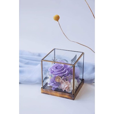 Eternal Rose Preserved Flowers - Preserved Forever Rose in Glass Dome, Best Gift for Her Valentine&#39;s Day Mother&#39;s Day Anniversary Birthday Thanksgiving Christmas (Purple)