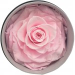 FAFUAH Premium Preserved Rose | Large Forever Roses in Leather Gift Box | Real Flowers Gift for Her (Bright Pink)