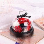 Preserve Red Rose Birthday Gifts for Mom Gift for Mother&#39;s Day Valentine&#39;s Day Christmas New Year Thanksgiving Wife Friend, Handmade Eternal Fresh Flower in Glass Dome Heart with 3 Heads Rose