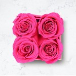 Beverly Rose Box 4Pcs Real Eternity Preserved Roses in Elegant Box – Fresh Premium Forever Flowers That Last a Year Or More Ideal for Valentines’ Day, Anniversary, Birthday (Pink)