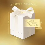 Beverly Rose Box 4Pcs Real Eternity Preserved Roses in Elegant Box – Fresh Premium Forever Flowers That Last a Year Or More Ideal for Valentines’ Day, Anniversary, Birthday (Pink)